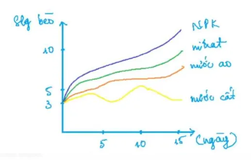 đề đánh giá năng lực tp hcm đợt 2