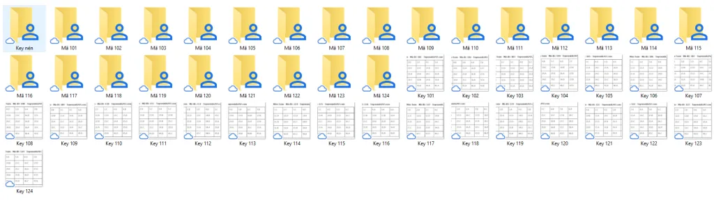 Đề và đáp án đề thi tốt nghiệp THPT môn Toán 2024 - 24 mã đề