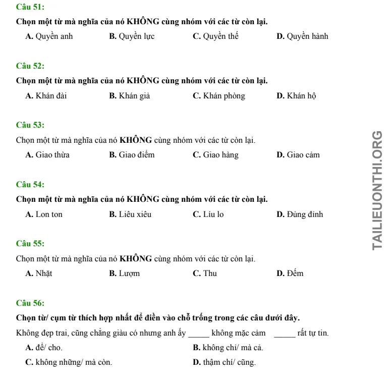 Tải đề thi thử ĐGNL HSA phần Ngôn ngữ & văn học số 36