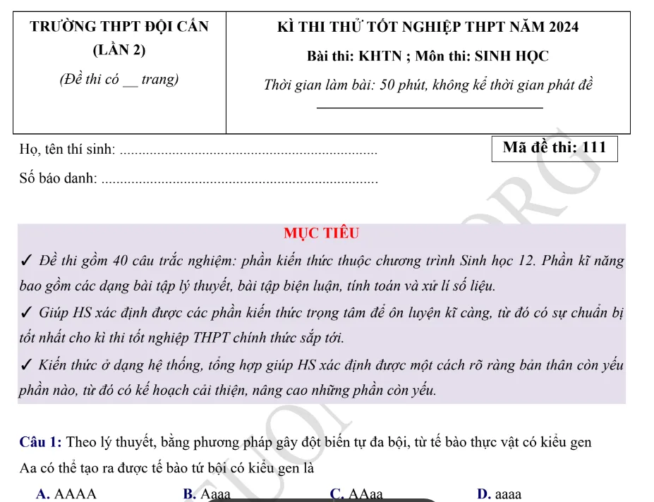 Đề thi thử TN THPT môn Sinh học 2024 - THPT Đội Cấn lần 2