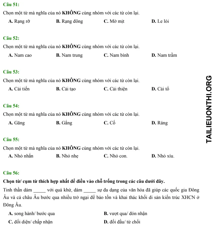 Đề thi thử ĐGNL HSA phần Ngôn ngữ & văn học số 38