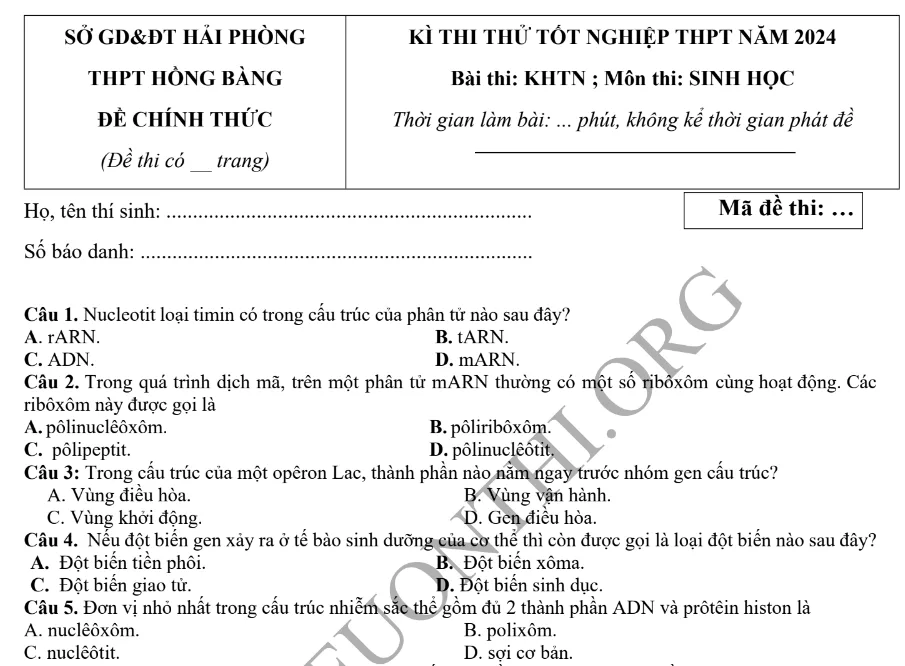 Giới thiệu Đề thi thử TN THPT môn Sinh học 2024 - THPT Hồng Bàng Hải Phòng