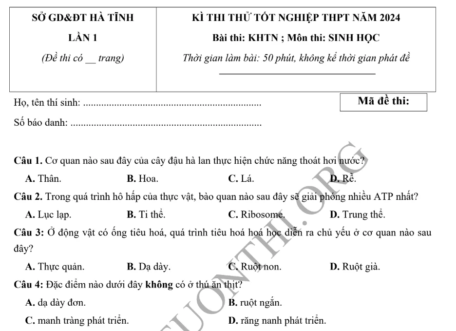 Đề thi thử TN THPT môn Sinh học 2024 - Sở Hà Tĩnh