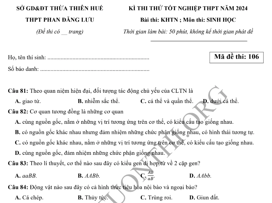 Đề thi thử TN THPT môn Sinh học 2024 - THPT Phan Đăng Lưu - Huế