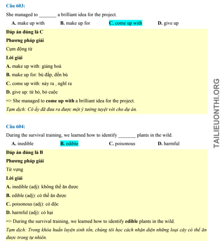Tải đề thi thử đánh giá năng lực HSA Tiếng anh số 33