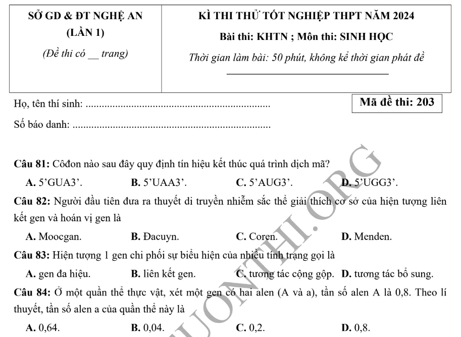 Đề thi thử TN THPT môn Sinh học 2024 - Liên Trường Nghệ An