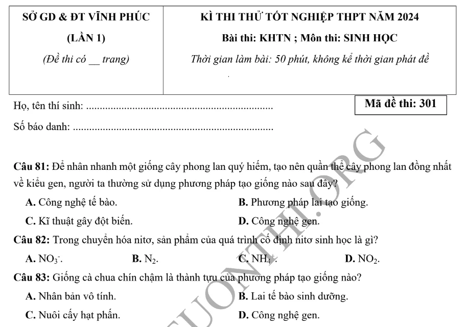 Đề thi thử TN THPT môn Sinh học 2024 - Sở Vĩnh Phúc