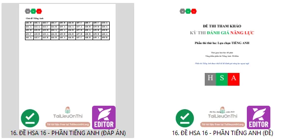 Đề thi thử đánh giá năng lực HSA phần Tiếng Anh số 16