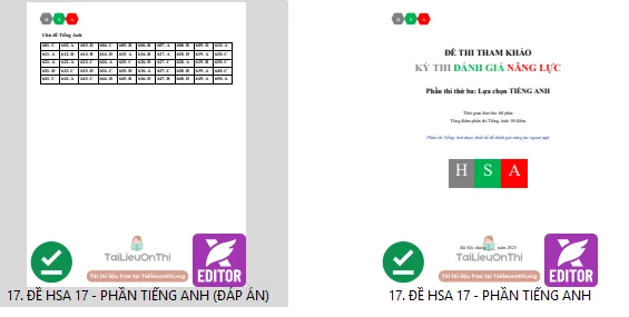 Đề thi thử đánh giá năng lực HSA phần Tiếng Anh số 17