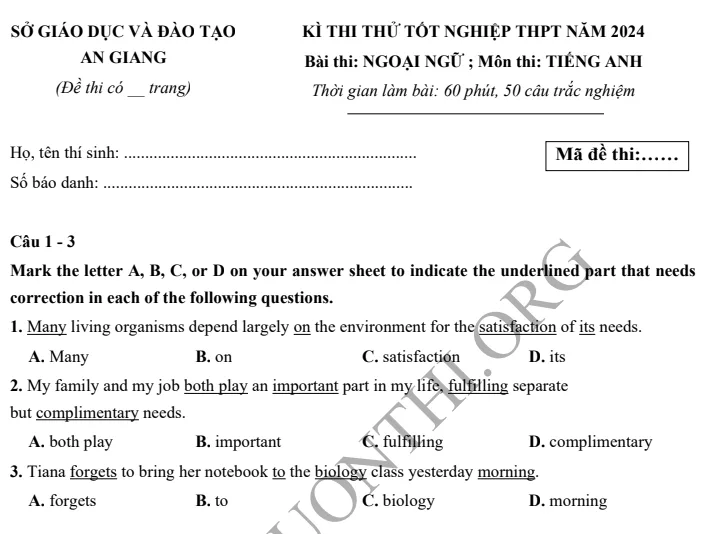 Giới thiệu Đề thi thử TN THPT môn Tiếng Anh 2024 - Sở An Giang