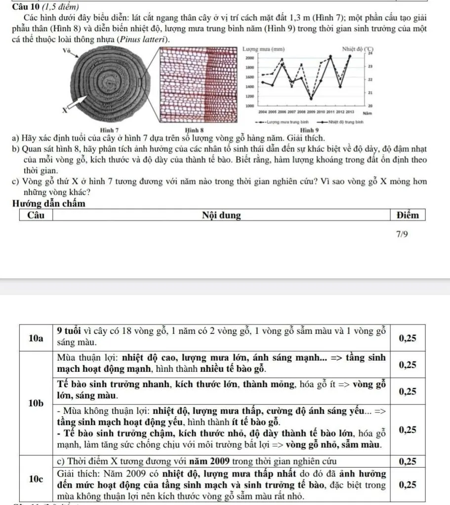 đề thi đánh giá năng lực tp hcm phần khoa học